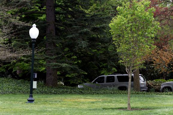 صورة اختفاء شجرة زرعها الرئيسان الامريكي والفرنسي من حدائق البيت الابيض