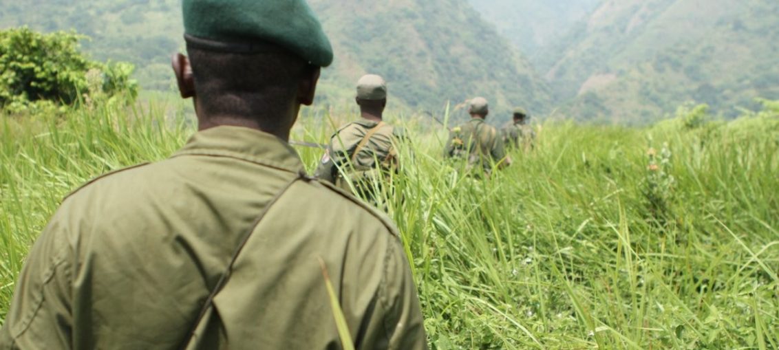 في الكونغو الديمقراطية | هل وراءوه داعش الارهابي؟ | اختطاف سائحين بريطانيين وقتل حارسهم في محمية طبيعية