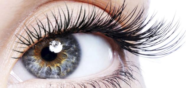 كيف تحافظين على صحة العين ؟